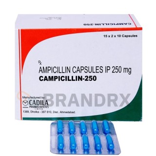 Campicillin 250 mg Cadila Pharmaceuticals Ltd.